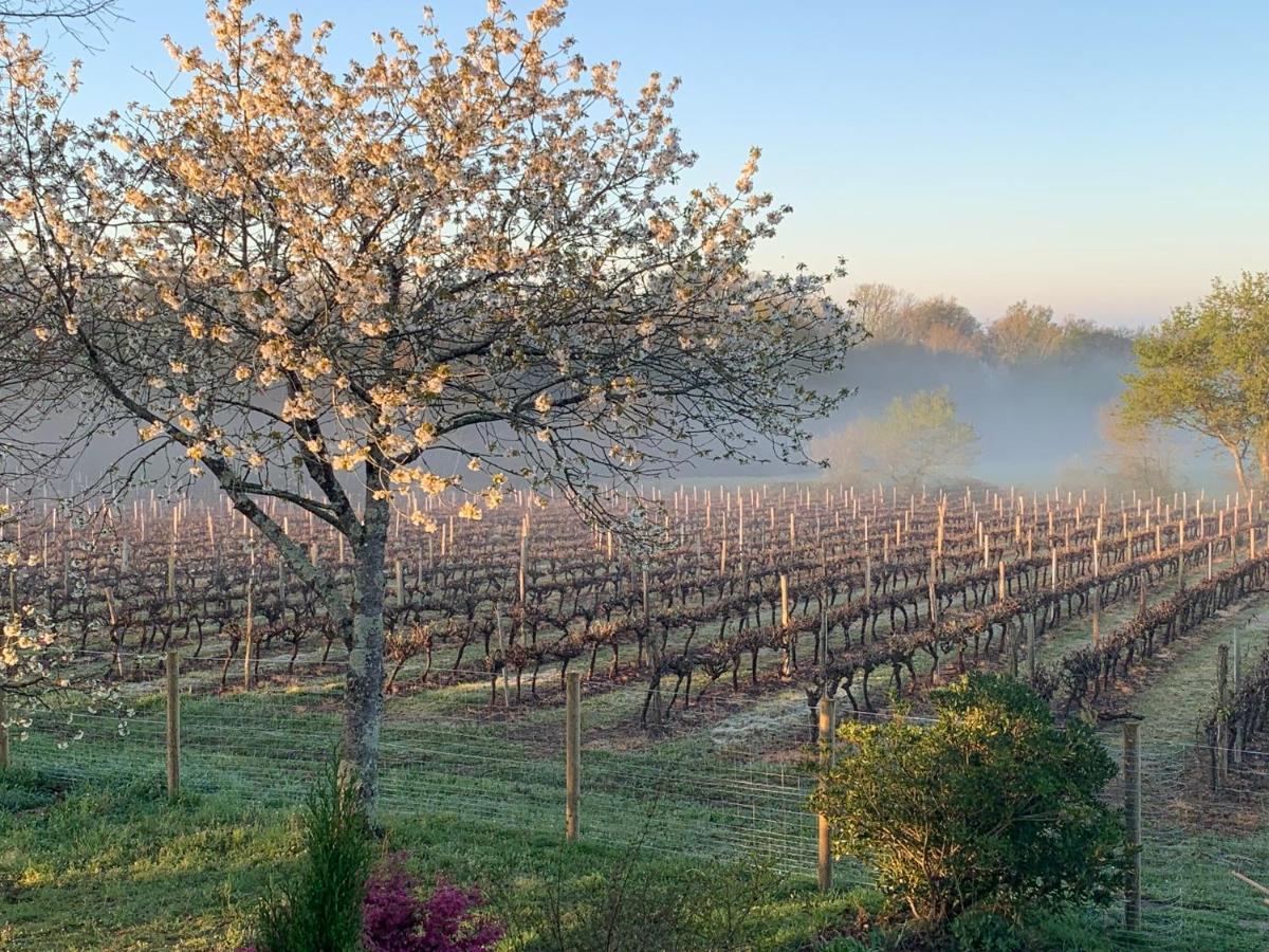 Lauberge De Nogaro Caupenne-d'Armagnac Zewnętrze zdjęcie